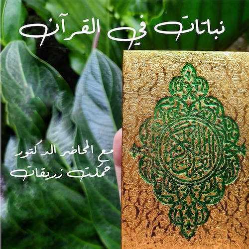 نباتات في القرآن